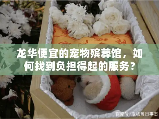 龙华便宜的宠物殡葬馆，如何找到负担得起的服务？