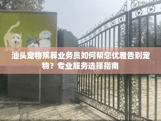 汕头宠物殡葬业务员如何帮您优雅告别宠物？专业服务选择指南