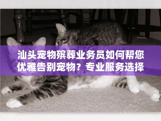 汕头宠物殡葬业务员如何帮您优雅告别宠物？专业服务选择指南