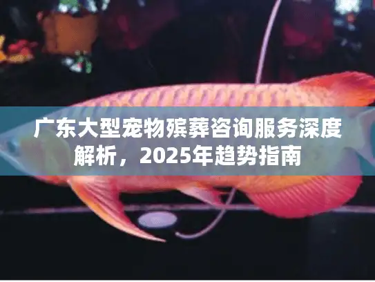 广东大型宠物殡葬咨询服务深度解析，2025年趋势指南