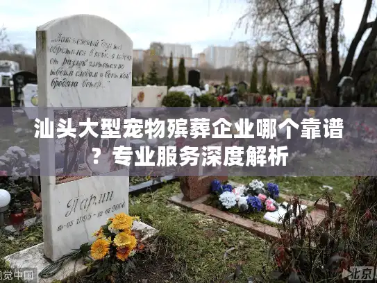 汕头大型宠物殡葬企业哪个靠谱？专业服务深度解析