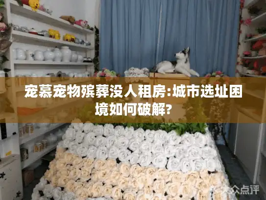 宠慕宠物殡葬没人租房:城市选址困境如何破解?