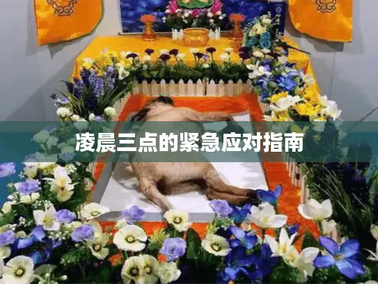 凌晨三点的紧急应对指南