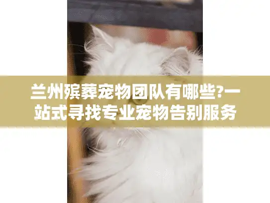 兰州殡葬宠物团队有哪些?一站式寻找专业宠物告别服务