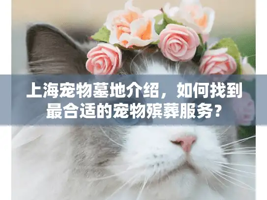 上海宠物墓地介绍，如何找到最合适的宠物殡葬服务？