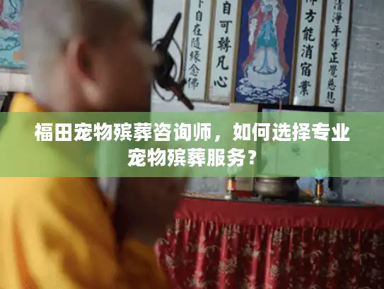 福田宠物殡葬咨询师，如何选择专业宠物殡葬服务？