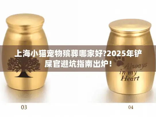 上海小猫宠物殡葬哪家好?2025年铲屎官避坑指南出炉!