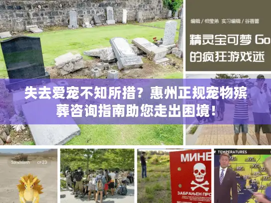 失去爱宠不知所措？惠州正规宠物殡葬咨询指南助您走出困境！