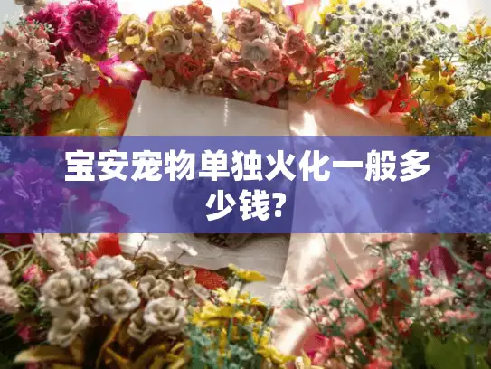 宝安宠物单独火化一般多少钱?