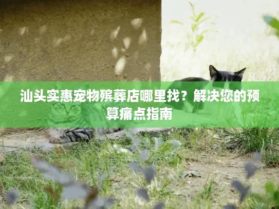 汕头实惠宠物殡葬店哪里找？解决您的预算痛点指南
