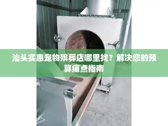 汕头实惠宠物殡葬店哪里找？解决您的预算痛点指南