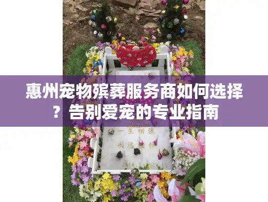 惠州宠物殡葬服务商如何选择？告别爱宠的专业指南