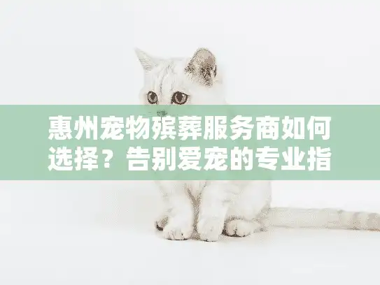 惠州宠物殡葬服务商如何选择？告别爱宠的专业指南