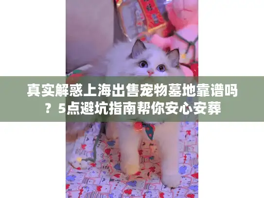 真实解惑上海出售宠物墓地靠谱吗？5点避坑指南帮你安心安葬