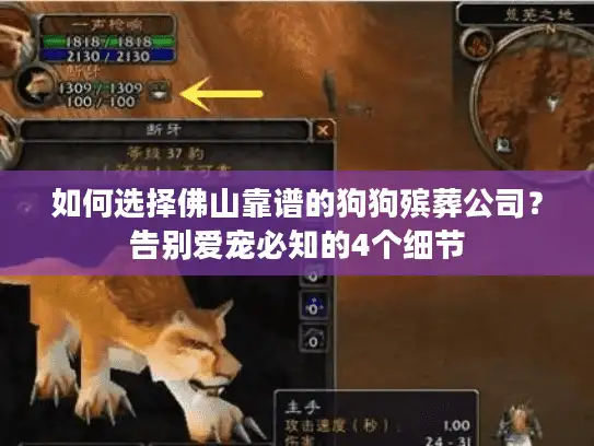 如何选择佛山靠谱的狗狗殡葬公司？告别爱宠必知的4个细节