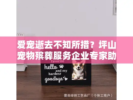 爱宠逝去不知所措？坪山宠物殡葬服务企业专家助您安心告别