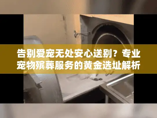 告别爱宠无处安心送别？专业宠物殡葬服务的黄金选址解析