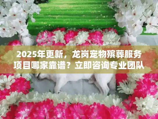 2025年更新，龙岗宠物殡葬服务项目哪家靠谱？立即咨询专业团队！