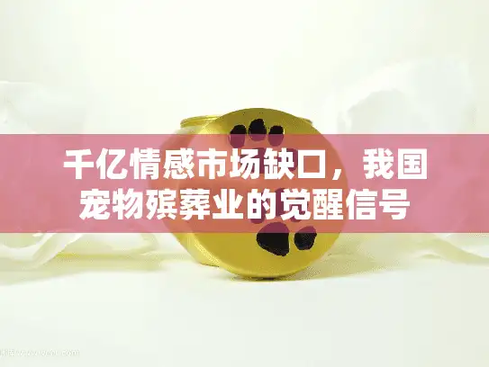 千亿情感市场缺口，我国宠物殡葬业的觉醒信号