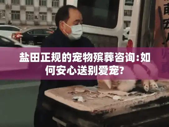 盐田正规的宠物殡葬咨询:如何安心送别爱宠?
