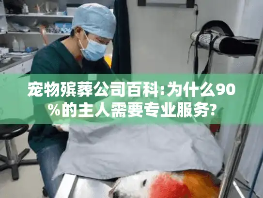 宠物殡葬公司百科:为什么90%的主人需要专业服务?