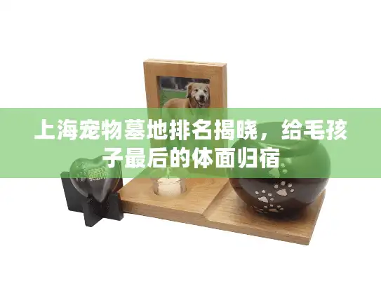 上海宠物墓地排名揭晓，给毛孩子最后的体面归宿