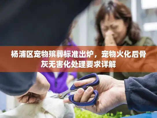 杨浦区宠物殡葬标准出炉，宠物火化后骨灰无害化处理要求详解