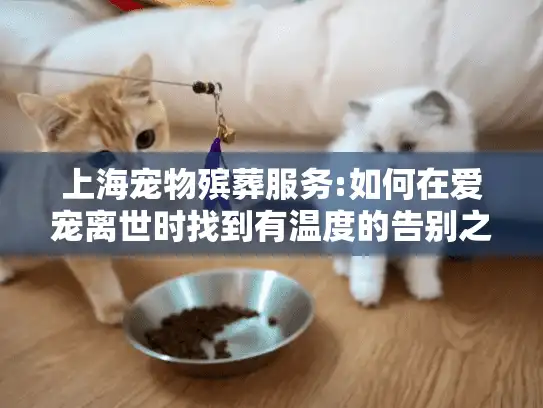 上海宠物殡葬服务:如何在爱宠离世时找到有温度的告别之地