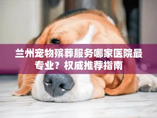 兰州宠物殡葬服务哪家医院最专业？权威推荐指南