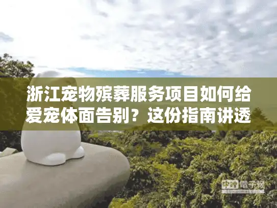浙江宠物殡葬服务项目如何给爱宠体面告别？这份指南讲透