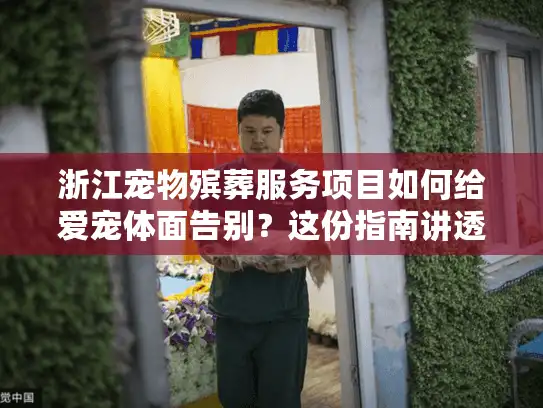 浙江宠物殡葬服务项目如何给爱宠体面告别？这份指南讲透
