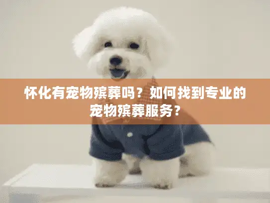 怀化有宠物殡葬吗？如何找到专业的宠物殡葬服务？