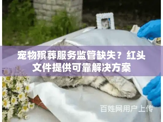 宠物殡葬服务监管缺失？红头文件提供可靠解决方案