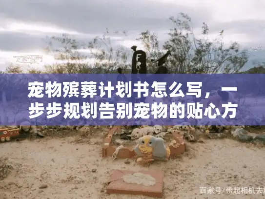 宠物殡葬计划书怎么写，一步步规划告别宠物的贴心方案