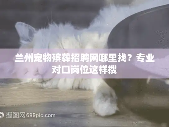 兰州宠物殡葬招聘网哪里找？专业对口岗位这样搜