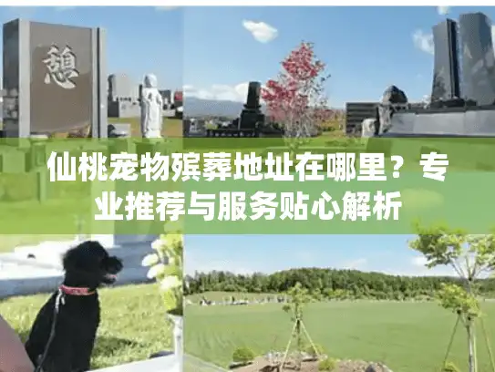 仙桃宠物殡葬地址在哪里？专业推荐与服务贴心解析