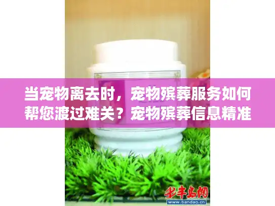 当宠物离去时，宠物殡葬服务如何帮您渡过难关？宠物殡葬信息精准解析