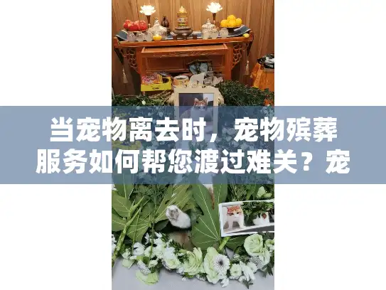 当宠物离去时，宠物殡葬服务如何帮您渡过难关？宠物殡葬信息精准解析