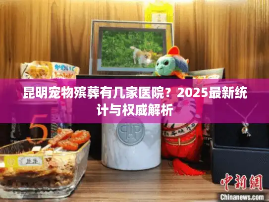 昆明宠物殡葬有几家医院？2025最新统计与权威解析