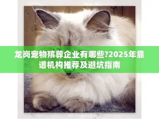 龙岗宠物殡葬企业有哪些?2025年靠谱机构推荐及避坑指南