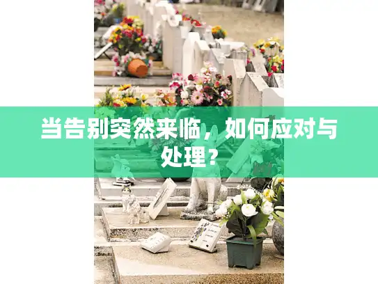 当告别突然来临，如何应对与处理？