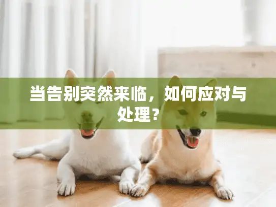 当告别突然来临，如何应对与处理？