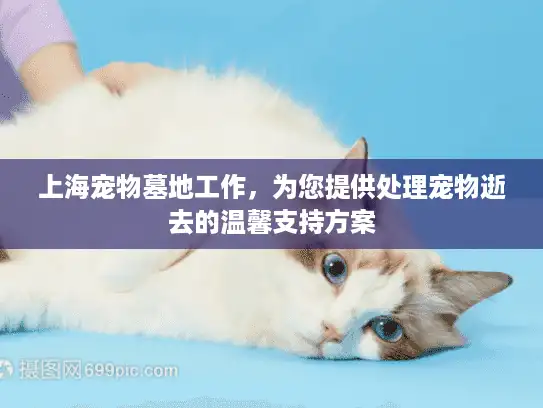 上海宠物墓地工作，为您提供处理宠物逝去的温馨支持方案