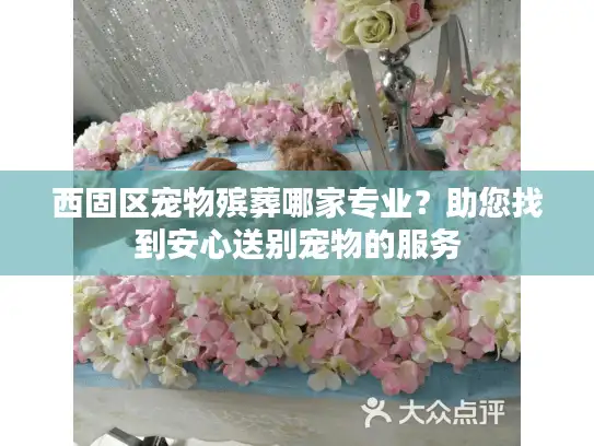 西固区宠物殡葬哪家专业？助您找到安心送别宠物的服务