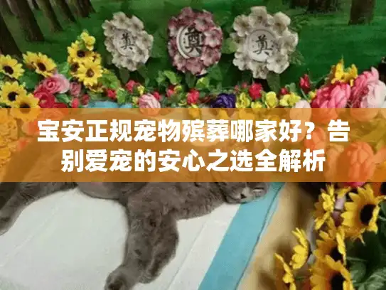 宝安正规宠物殡葬哪家好？告别爱宠的安心之选全解析