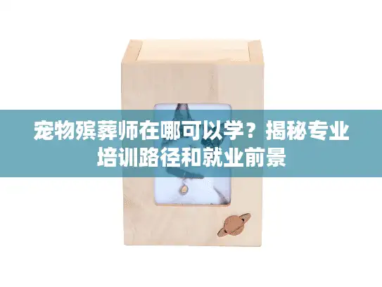 宠物殡葬师在哪可以学？揭秘专业培训路径和就业前景