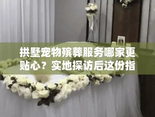 拱墅宠物殡葬服务哪家更贴心？实地探访后这份指南请收好