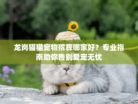 龙岗猫猫宠物殡葬哪家好？专业指南助你告别爱宠无忧