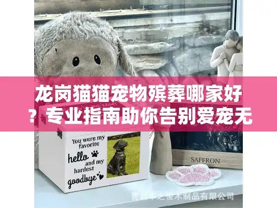 龙岗猫猫宠物殡葬哪家好？专业指南助你告别爱宠无忧