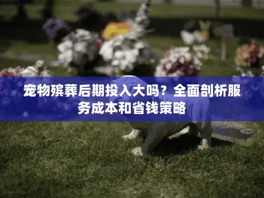 宠物殡葬后期投入大吗？全面剖析服务成本和省钱策略